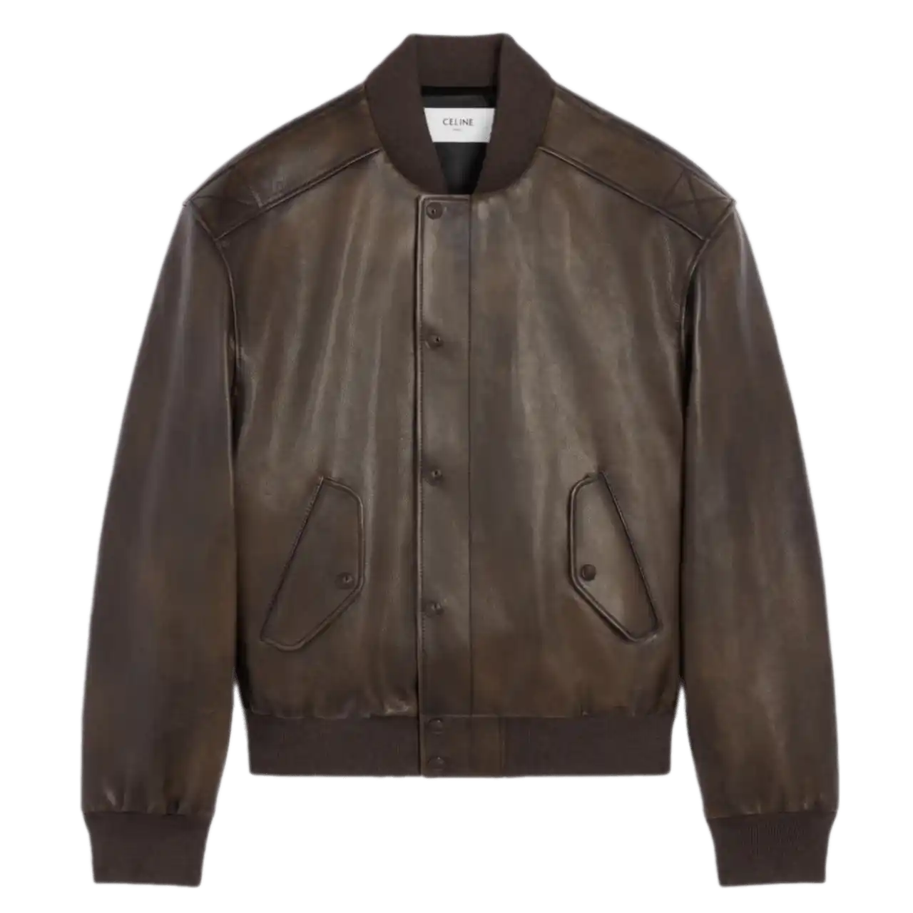 Celine Aviator Teddy Jacket In Grained Calfskin - Ebene