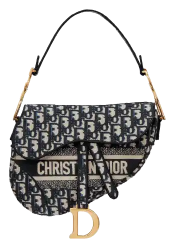 Dior Saddle Bag - Dior Oblique Embroidery Blue