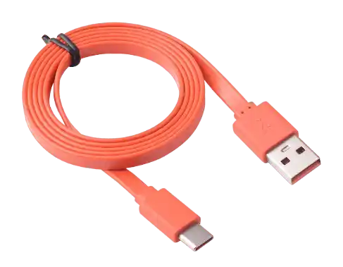 JBL Charging Cable USB Type-C
