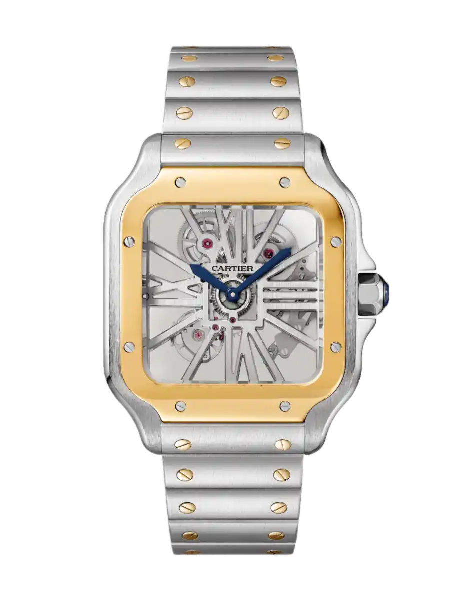Santos De Cartier Skeleton Watch - 28mm, Steel and Gold, Sapphire