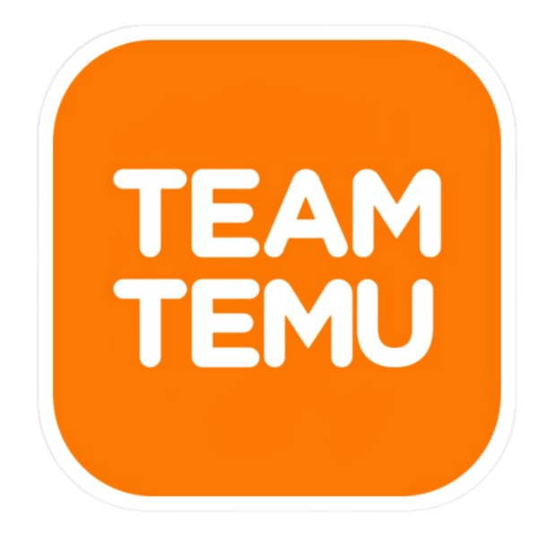 Team Temu Sticker