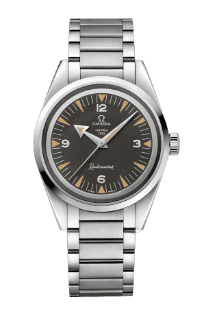 Omega Seamaster Railmaster - 38mm, Steel On Steel
