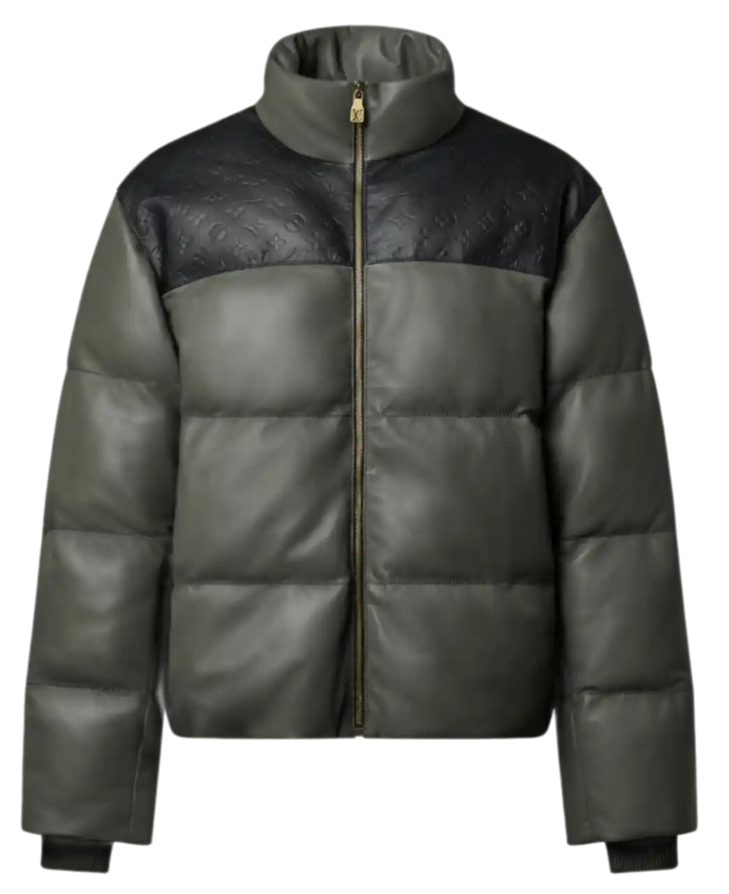 Louis Vuitton Leather Down Jacket