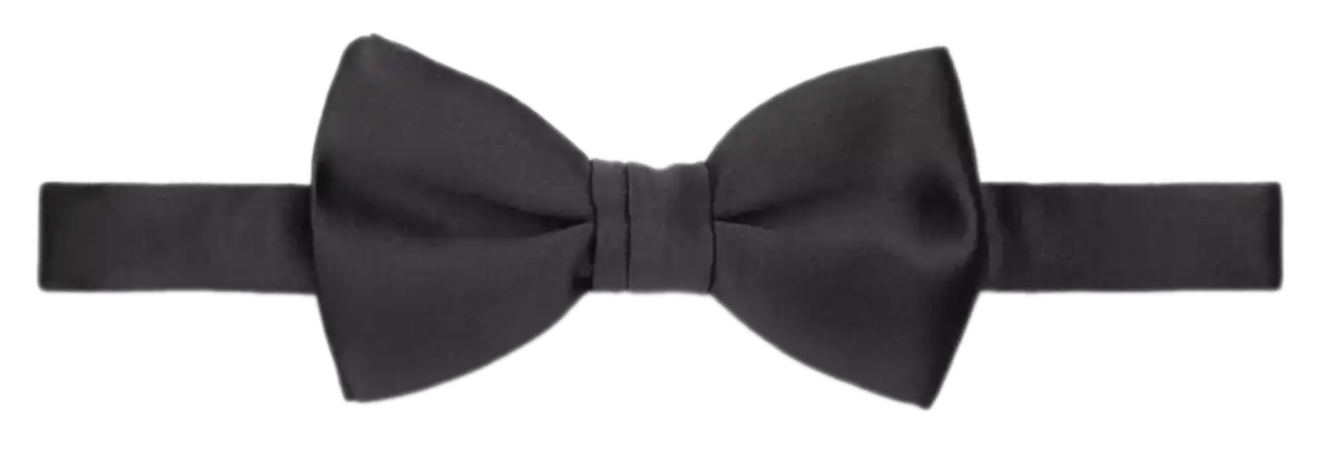 Dior Straight Edge Bow Tie - Black