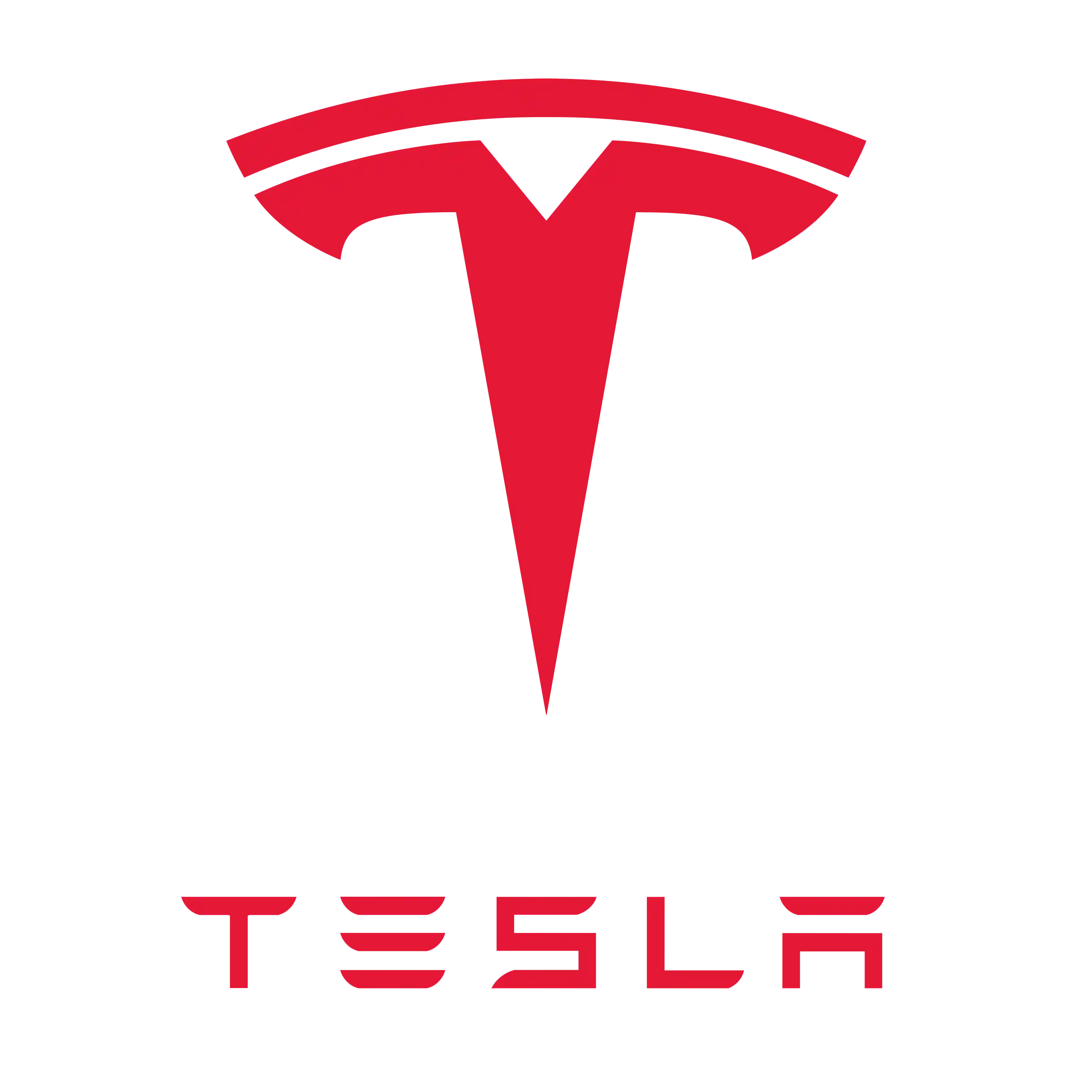 $650 of Tesla Stock
