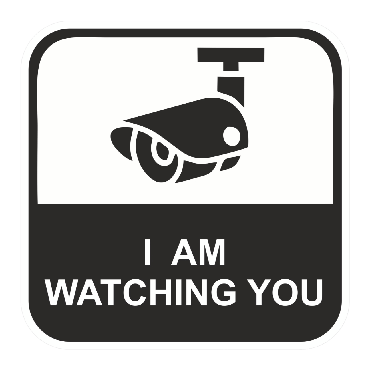 Surveillance Sticker