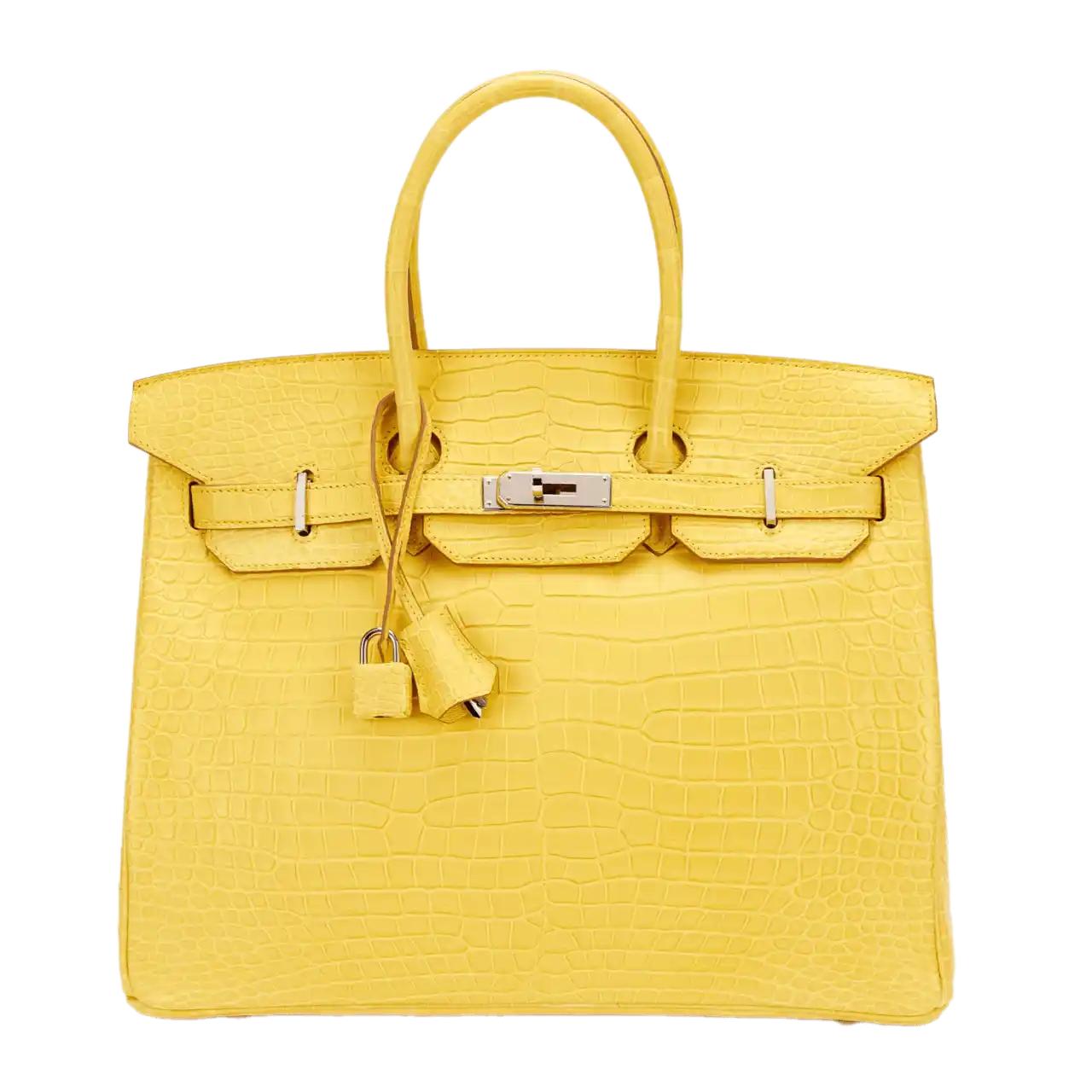 Hermès Jaune Poussin Matte Porosus Crocodile Birkin 35 Palladium Hardware, 2015