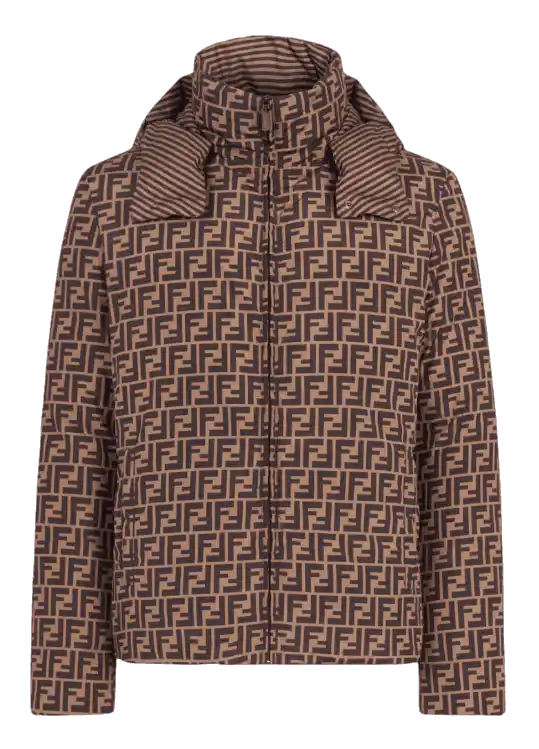 Fendi Down Jacket - Brown