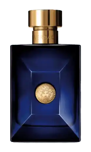 Versace Dylan Blue Pour Homme EDT 100ml