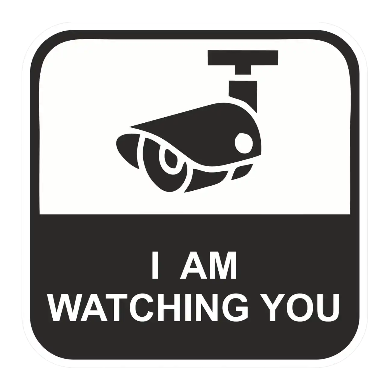 Surveillance Sticker