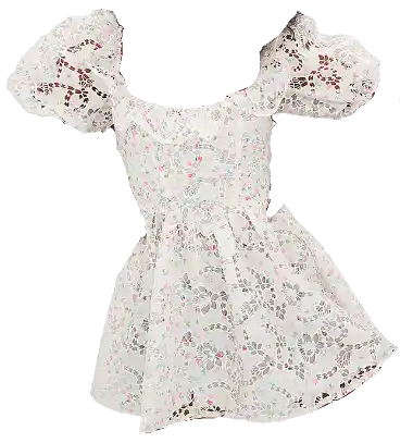 Victoria's Secret Magnolia Mini Dress - White Floral