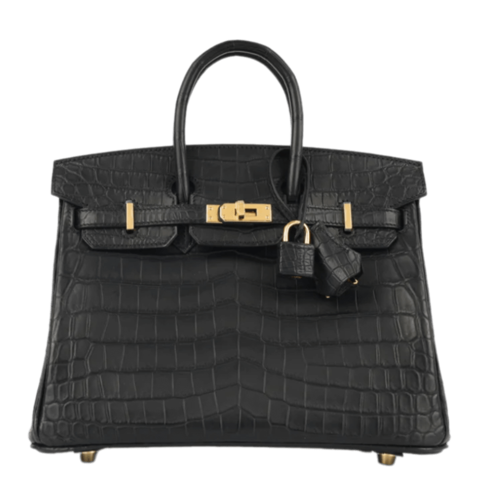 Hermès Birkin 25 Noir Matte Crocodile Niloticus Gold-tone Hardware, 2023