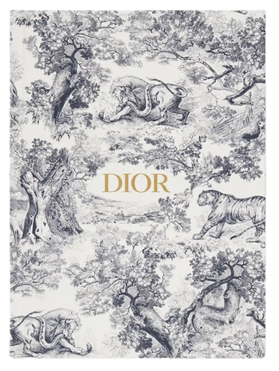 Dior Large Notebook - Blue Toile de Jouy