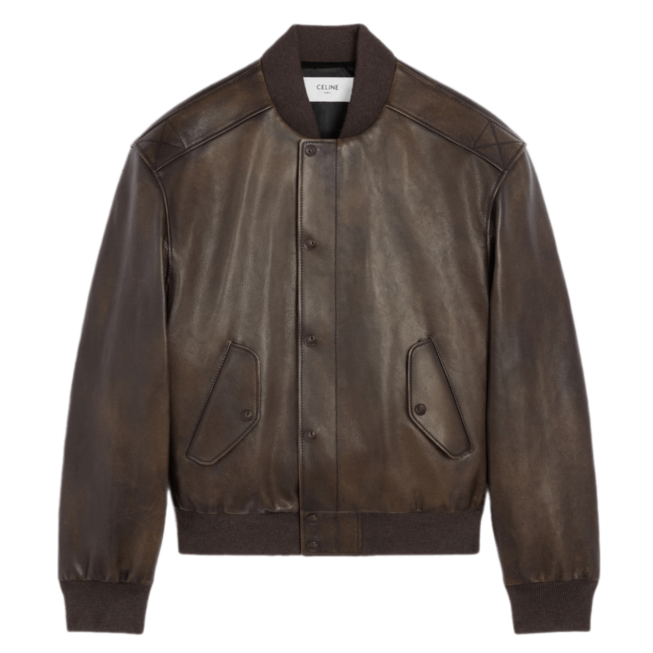 Celine Aviator Teddy Jacket In Grained Calfskin - Ebene