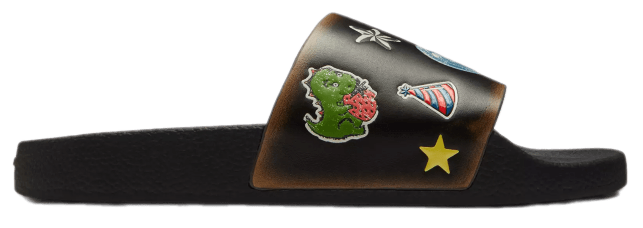 Coach Rexy 10th Birthday Pool Slide with Sticker Print