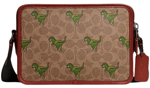 Coach Crossbody Charter - 24 in Signature Canvas with Rexy Print Tan/Rust