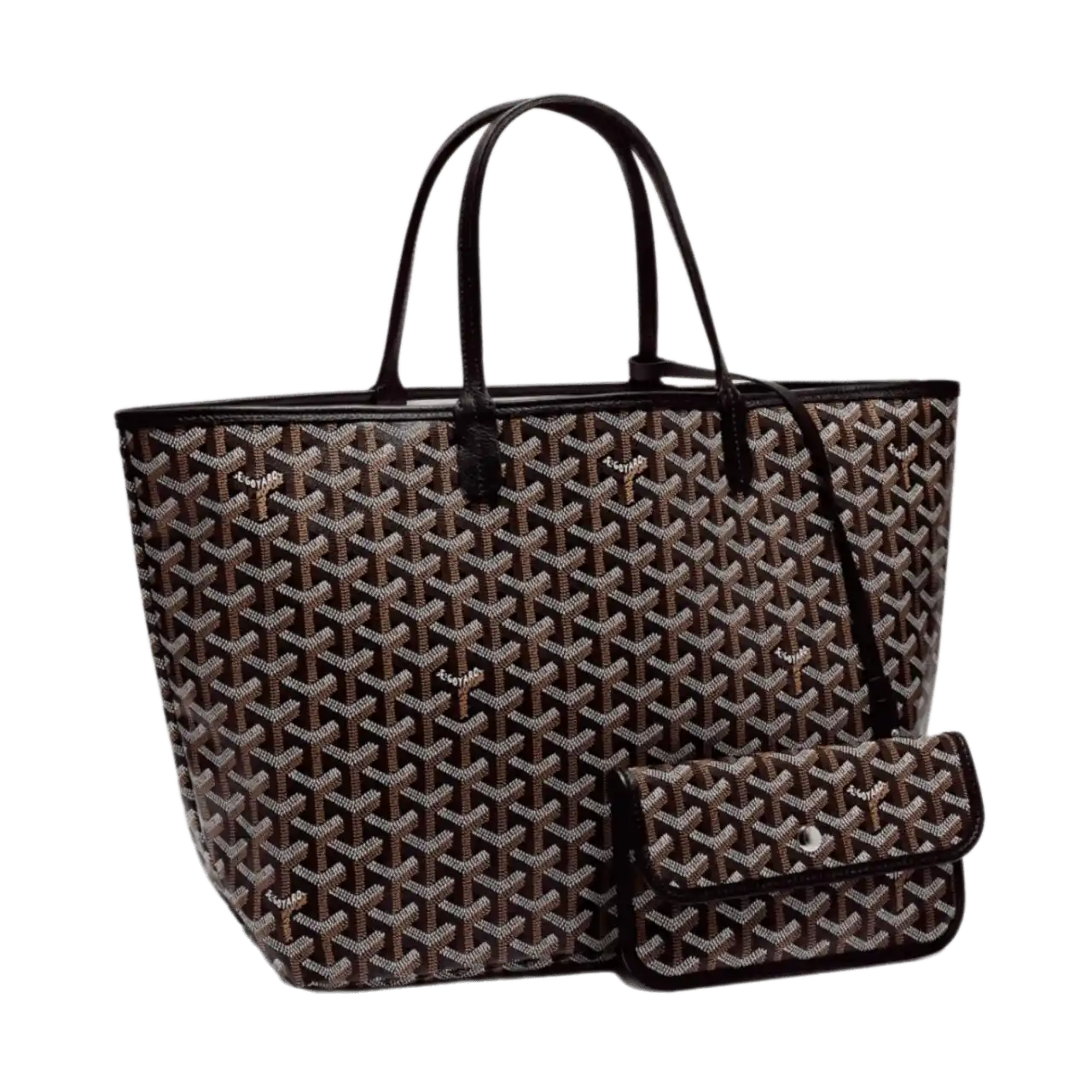 Goyard Saint Louis PM - Black