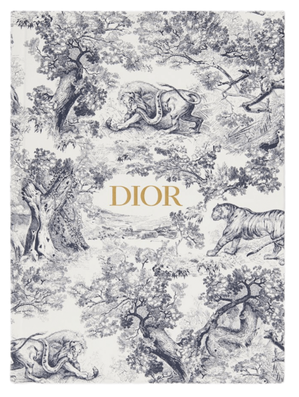 Dior Large Notebook - Blue Toile de Jouy