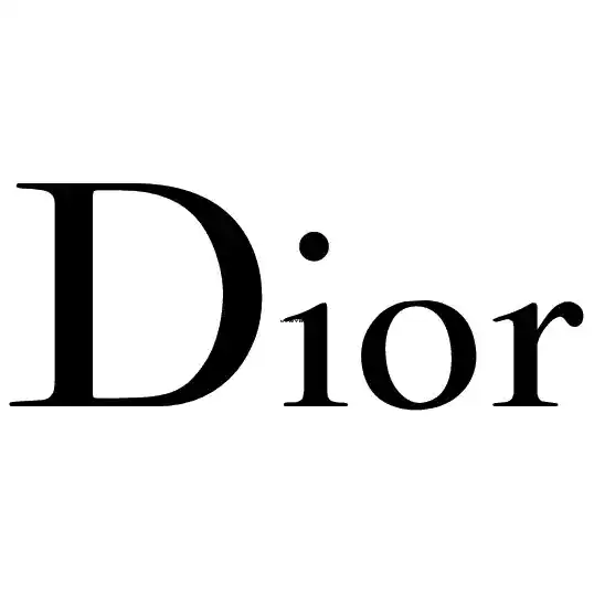Dior Logo Sticker