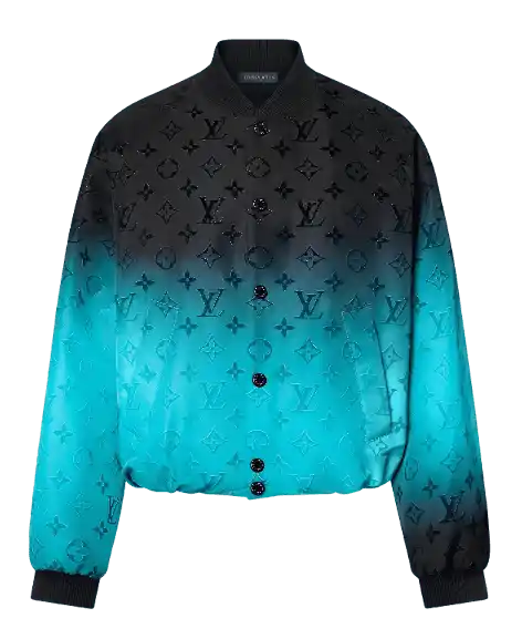 Louis Vuitton Monogram Flocked Nylon Bomber