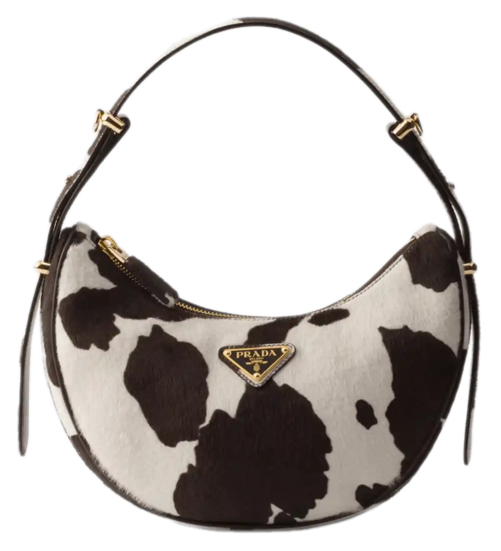 Prada Arqué Printed Leather Mini Shoulder Bag - White/Dark Brown
