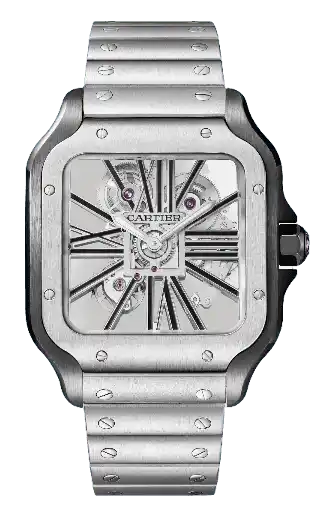 Santos De Cartier Skeleton Watch - 28mm, Steel, Sapphire
