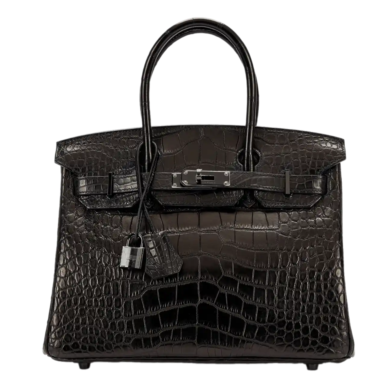 Hermès Black Matte Alligator So Black Birkin 30 Black PVD Hardware, 2010