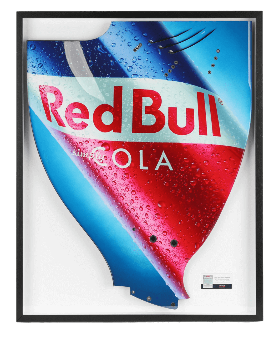 Red Bull Racing 2010 Grand Prix Used RB6 Righthand Rear Wing Endplate - Red Bull Cola Branding