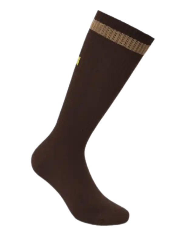 Fendi Socks - Brown
