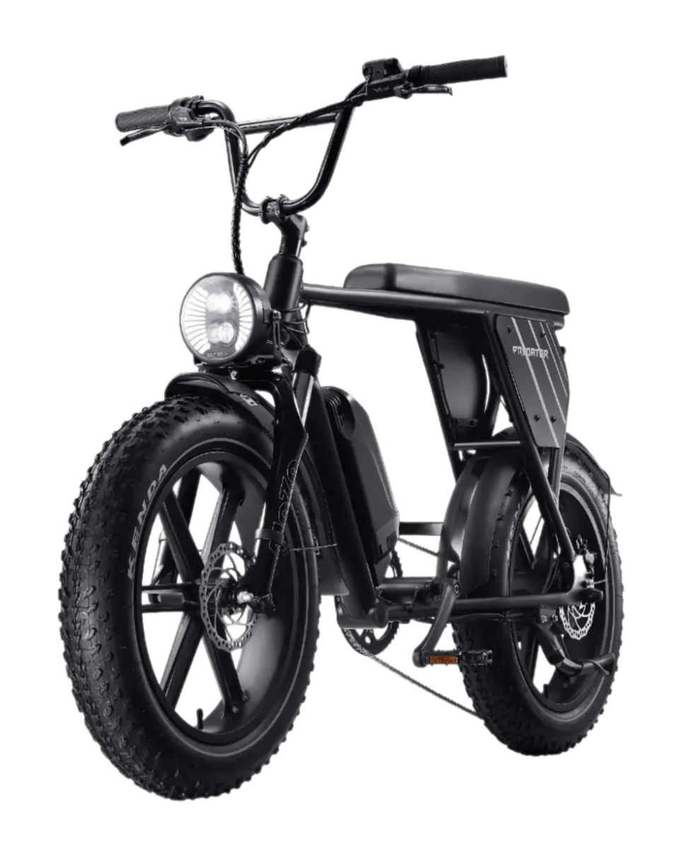 Acer Predator eNomad-R eBike