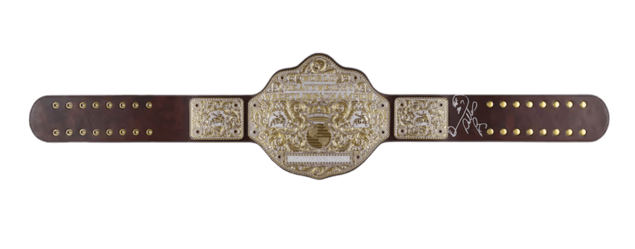 Diamond Dallas Page WWE Autographed Big Gold World Heavyweight Championship Replica Title Belt "HOF 2017" Inscription