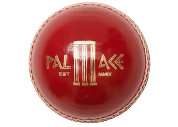 Palace Gray Nicolls Cricket Ball