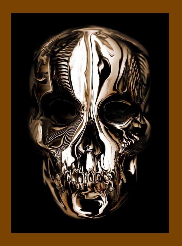 Alexander McQueen: Savage Beauty (Hardcover)