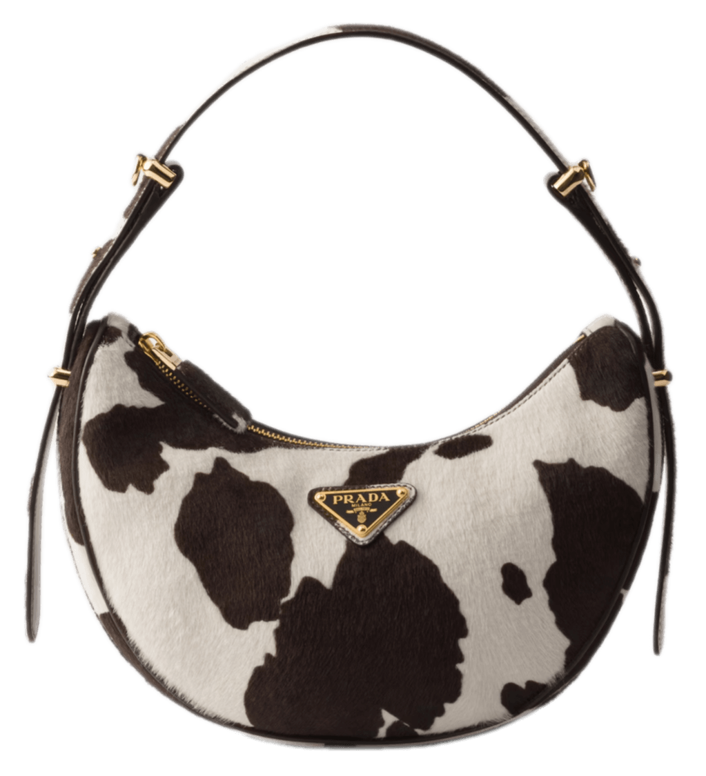 Prada Arqué Printed Leather Mini Shoulder Bag - White/Dark Brown