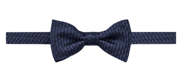 Dior Oblique Bow Tie - Blue Silk