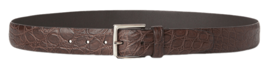 Loro Piana Caimen Leather Owen Belt - Chocolate
