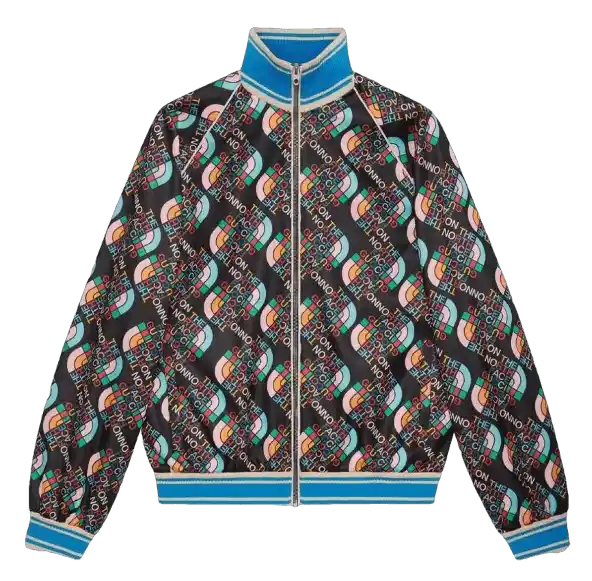 Gucci x The North Face Zip Jacket - Multicolor