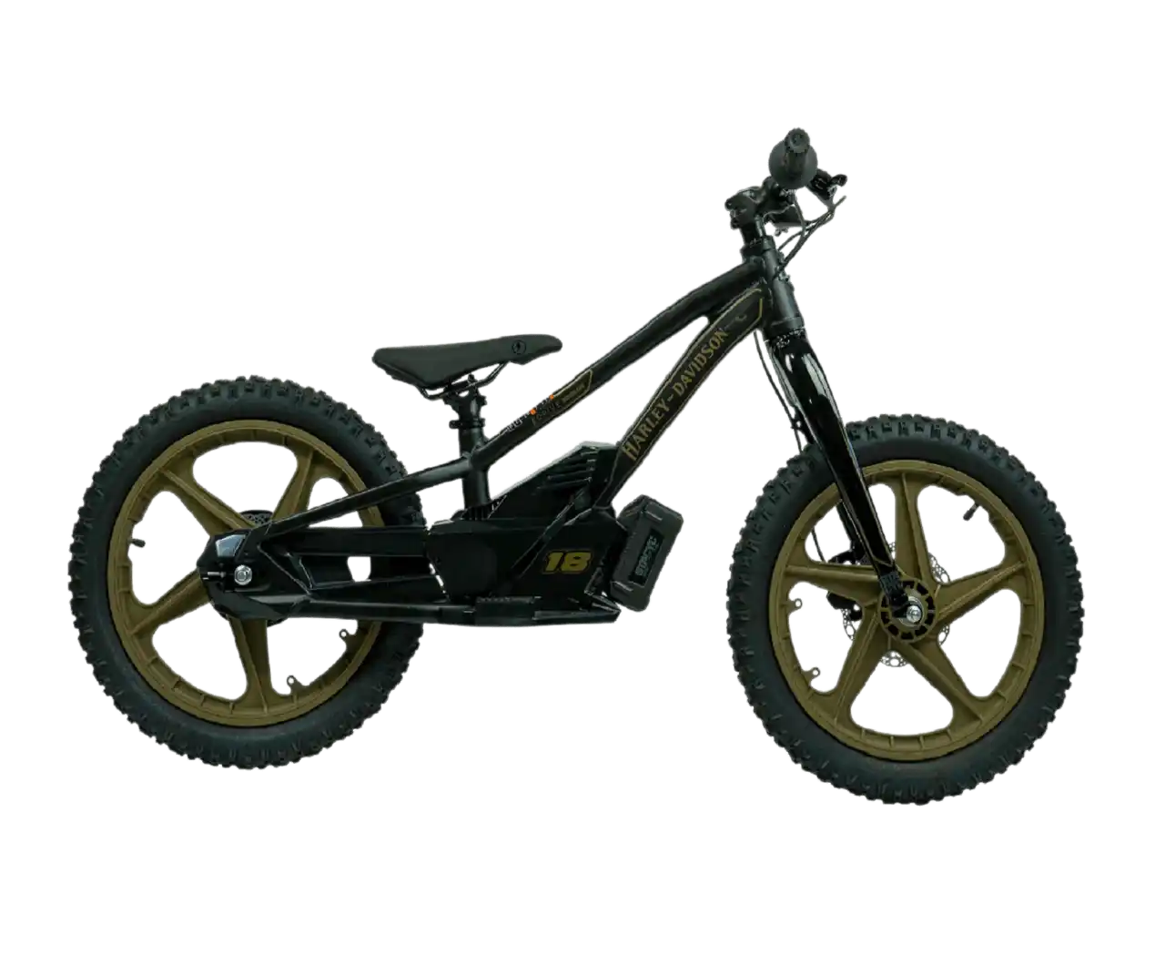 Harley-Davidson eBike 18e Low Rider Edition