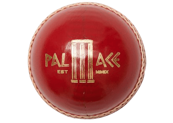 Palace Gray Nicolls Cricket Ball