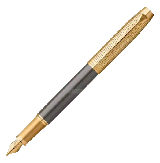 Parker IM Pioneers GT Fountain Pen - limited edition