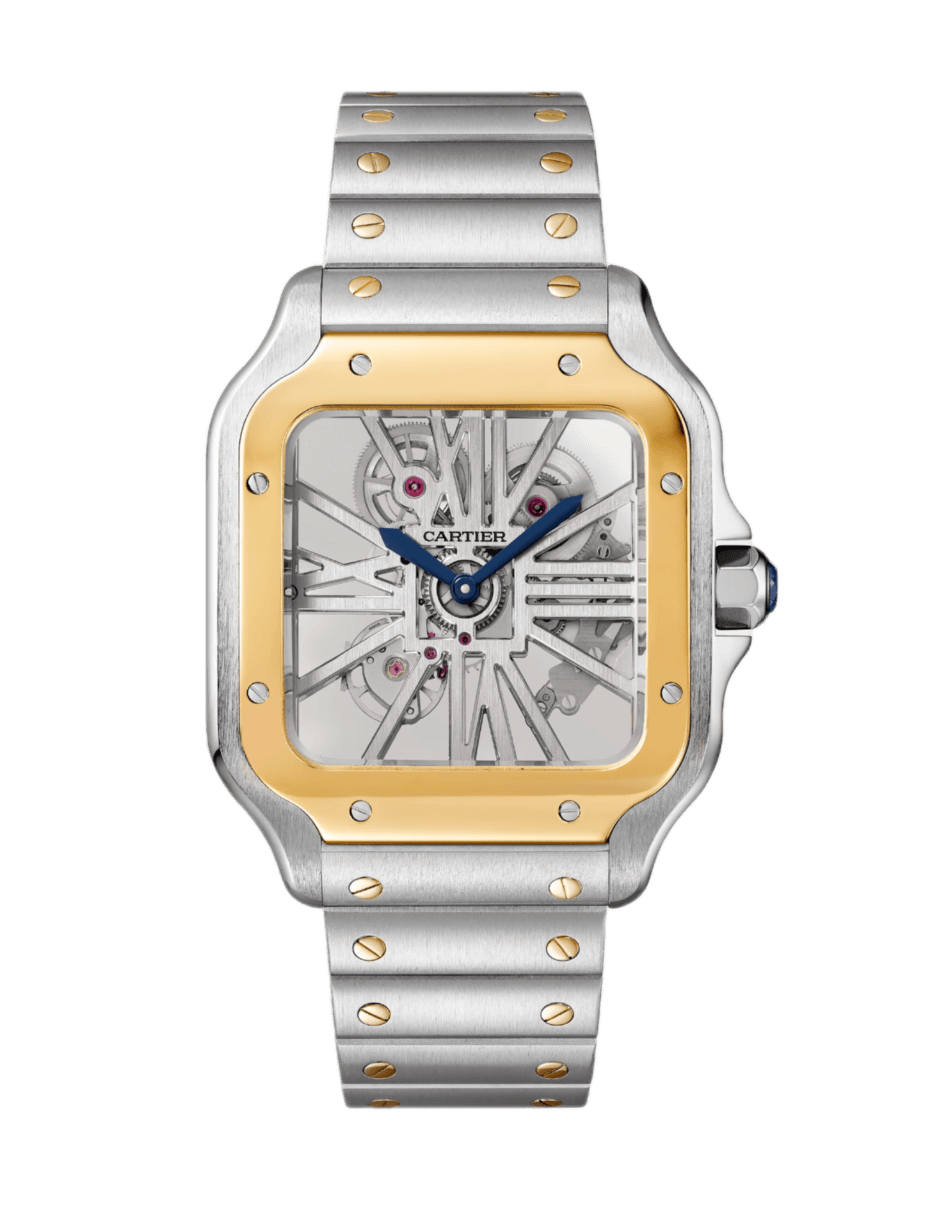 Santos De Cartier Skeleton Watch - 28mm, Steel and Gold, Sapphire