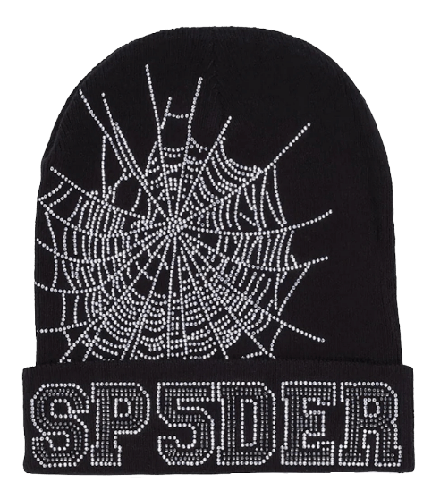 Sp5der Web Beanie - Black