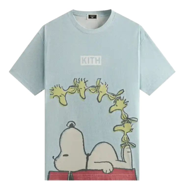 Kith x Peanuts Woodstock Doghouse Comic Vintage Tee - Glisten
