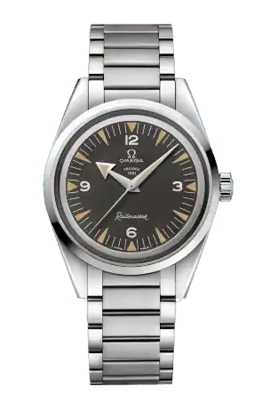Omega Seamaster Railmaster - 38mm, Steel On Steel