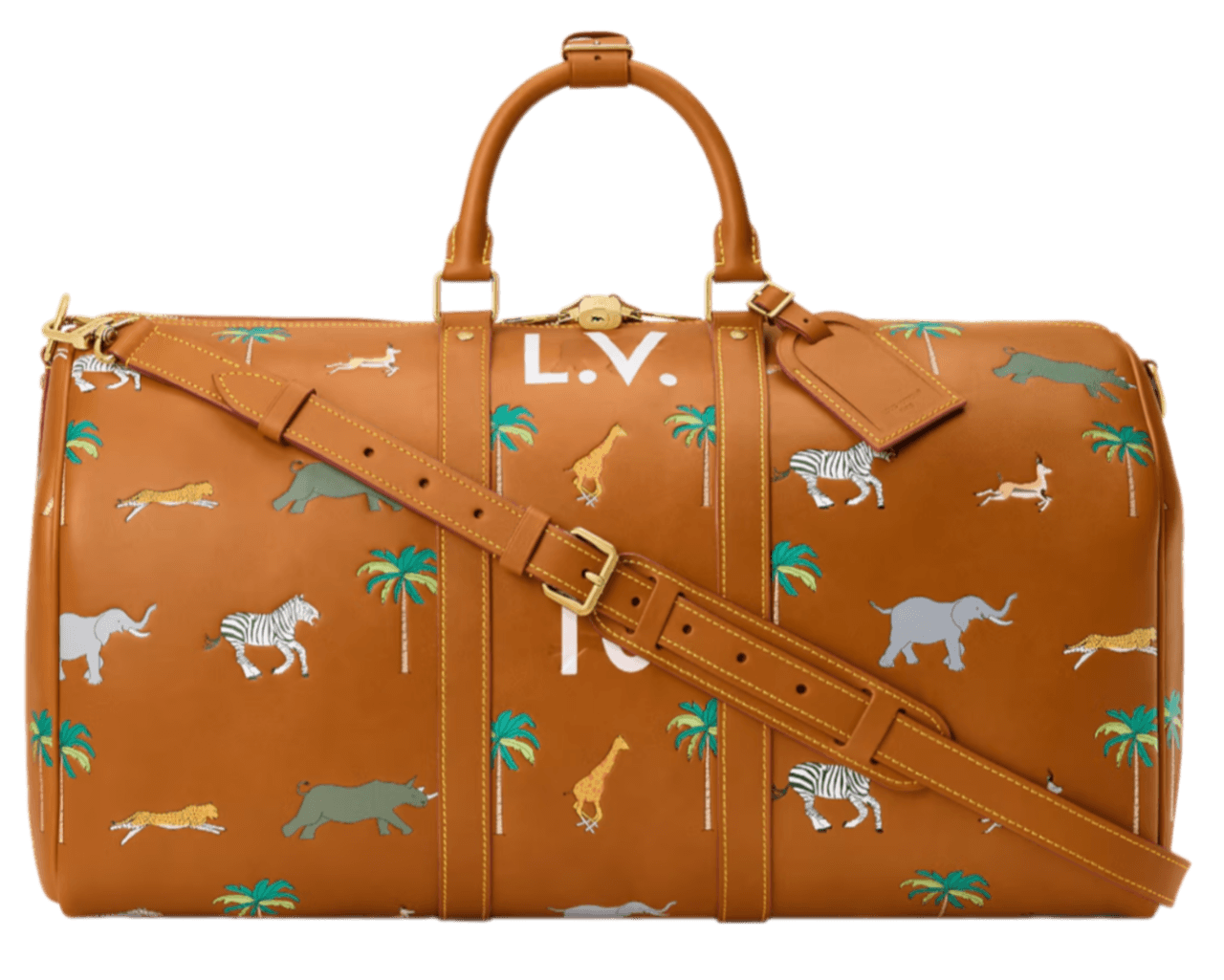 LV x The Darjeeling Limited Keepall 50
