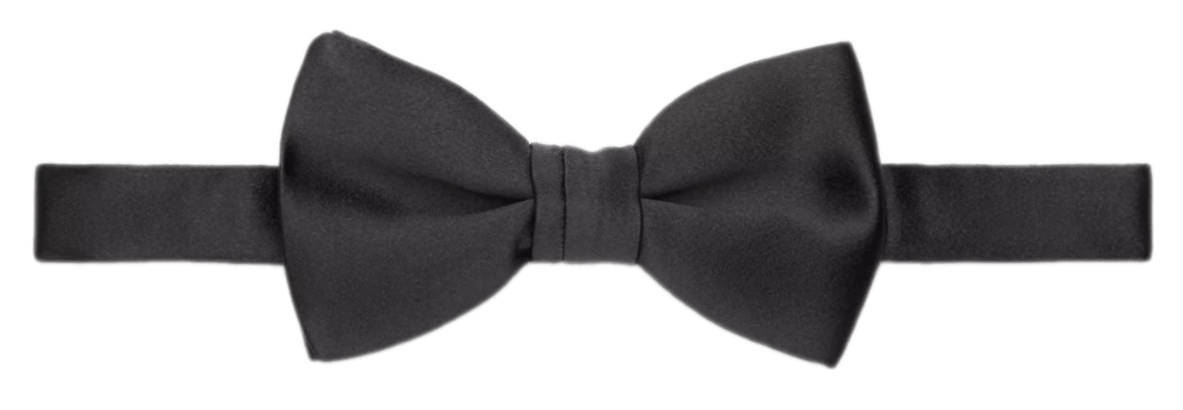 Dior Straight Edge Bow Tie - Black