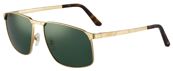 Cartier Santos De Cartier Sunglasses - Gold