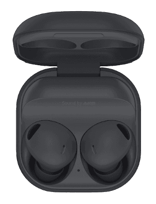 Galaxy Buds2 Pro - Graphite