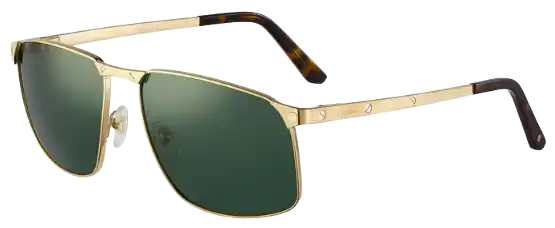 Cartier Santos De Cartier Sunglasses - Gold