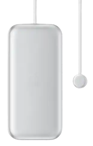 Apple Vision Pro Battery